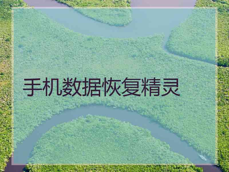 手机数据恢复精灵