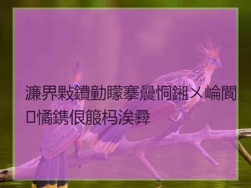 濂界敤鐨勭矇搴曟恫鎺ㄨ崘閬憰鎸佷箙杩涘彛