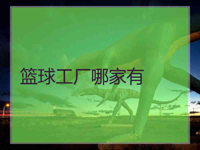 篮球工厂哪家有