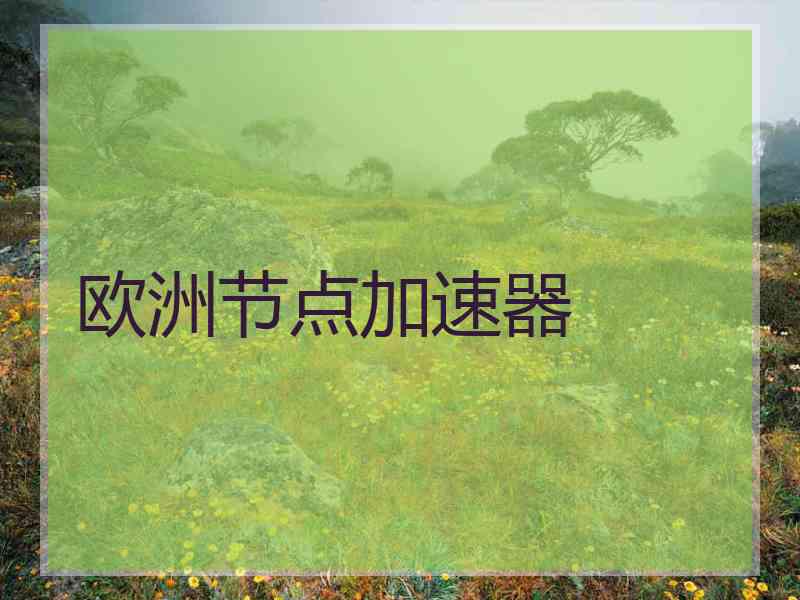 欧洲节点加速器