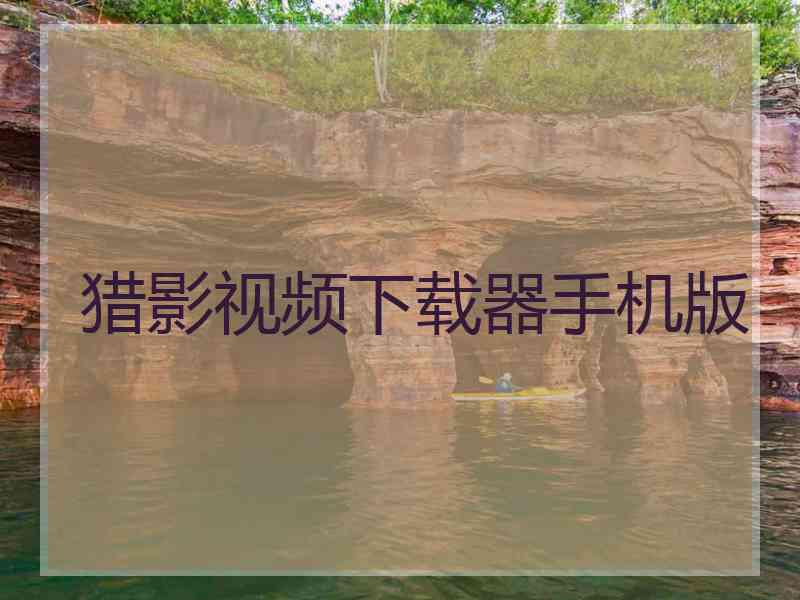 猎影视频下载器手机版