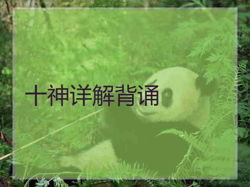 十神详解背诵
