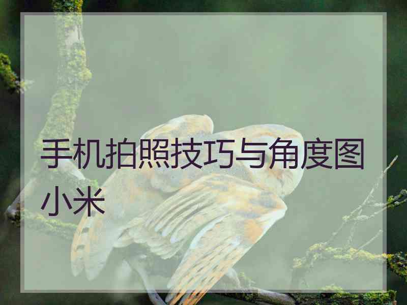 手机拍照技巧与角度图小米