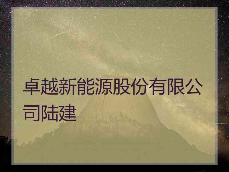 卓越新能源股份有限公司陆建
