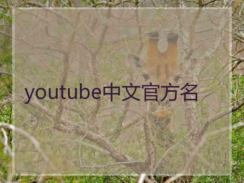 youtube中文官方名