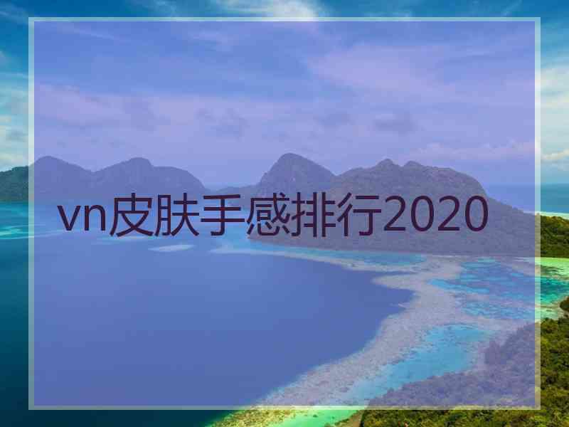 vn皮肤手感排行2020