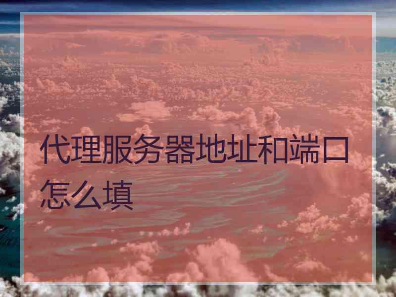 代理服务器地址和端口怎么填