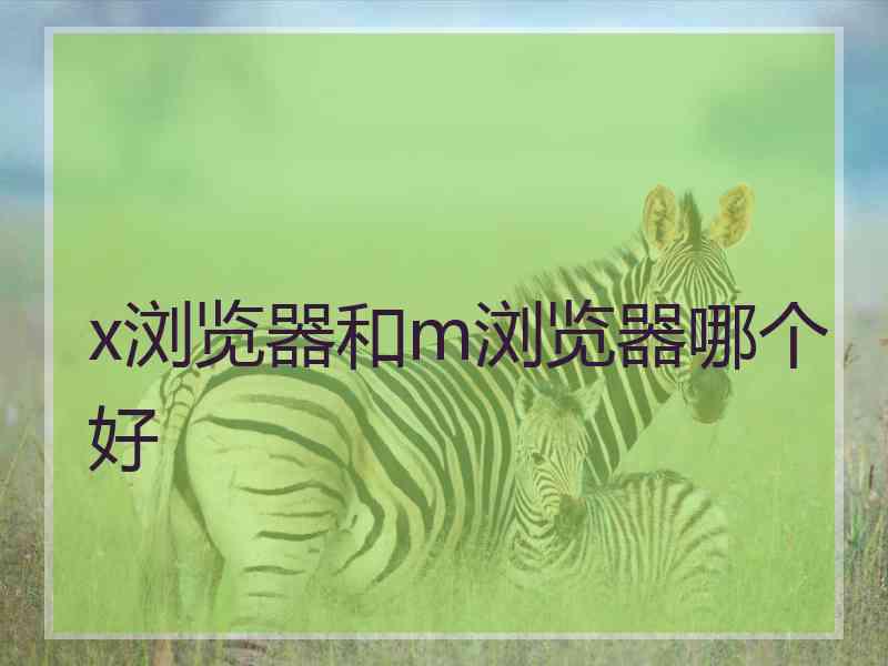 x浏览器和m浏览器哪个好
