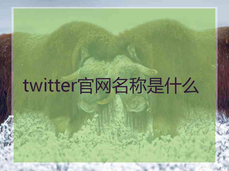 twitter官网名称是什么
