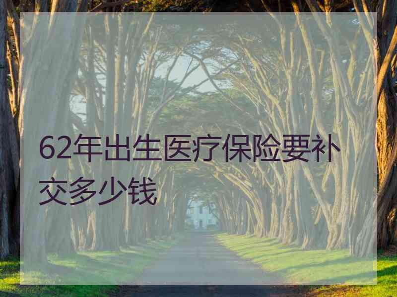 62年出生医疗保险要补交多少钱