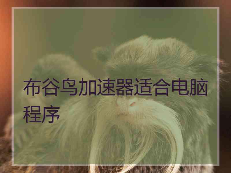 布谷鸟加速器适合电脑程序