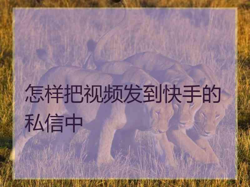 怎样把视频发到快手的私信中