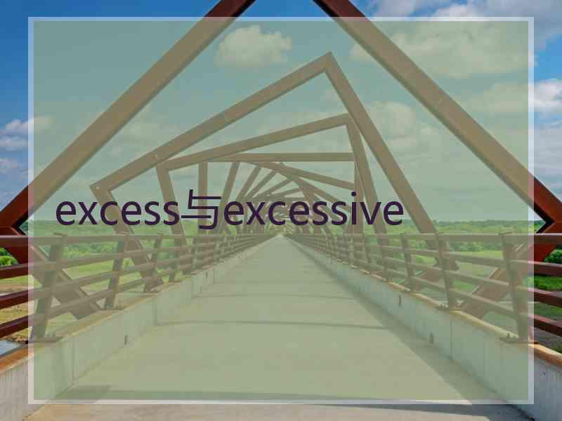 excess与excessive