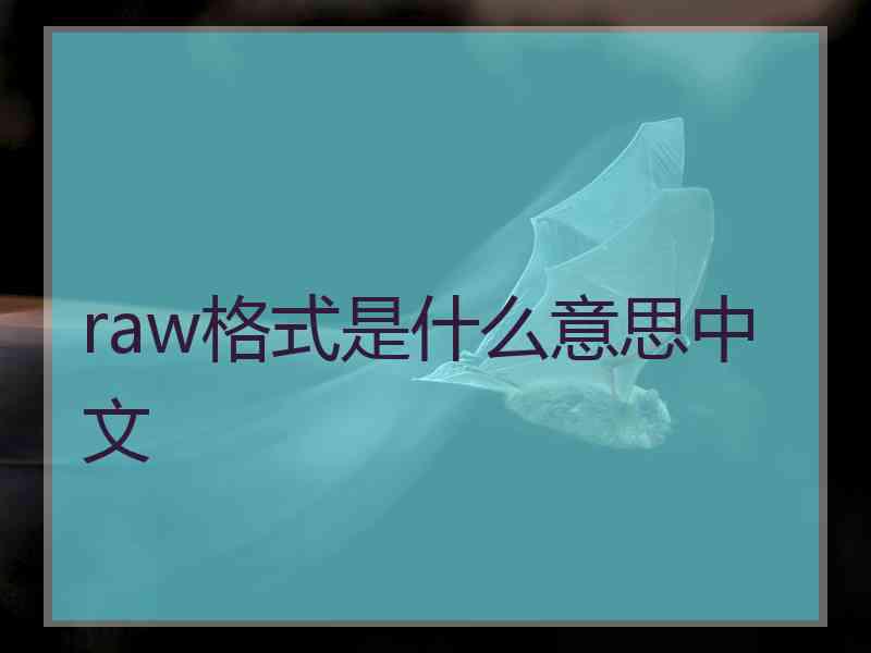 raw格式是什么意思中文