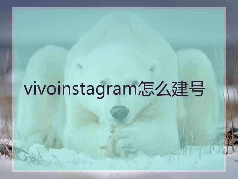 vivoinstagram怎么建号