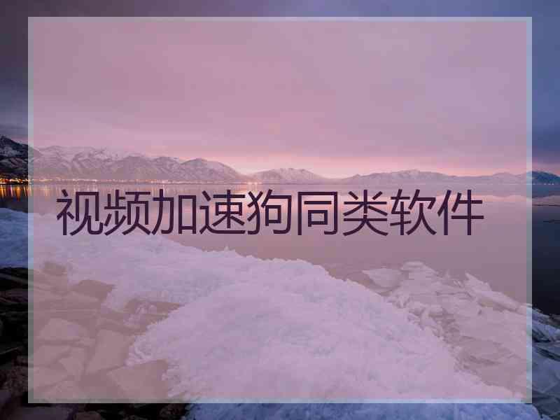 视频加速狗同类软件