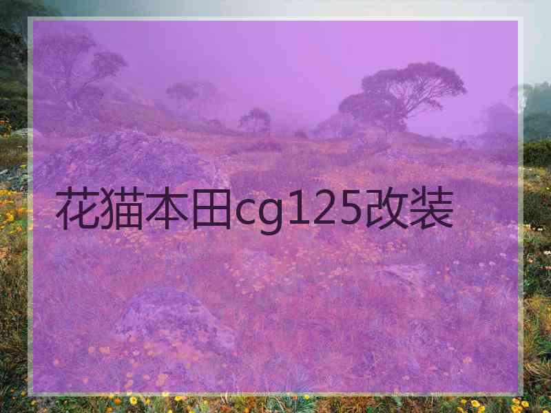 花猫本田cg125改装