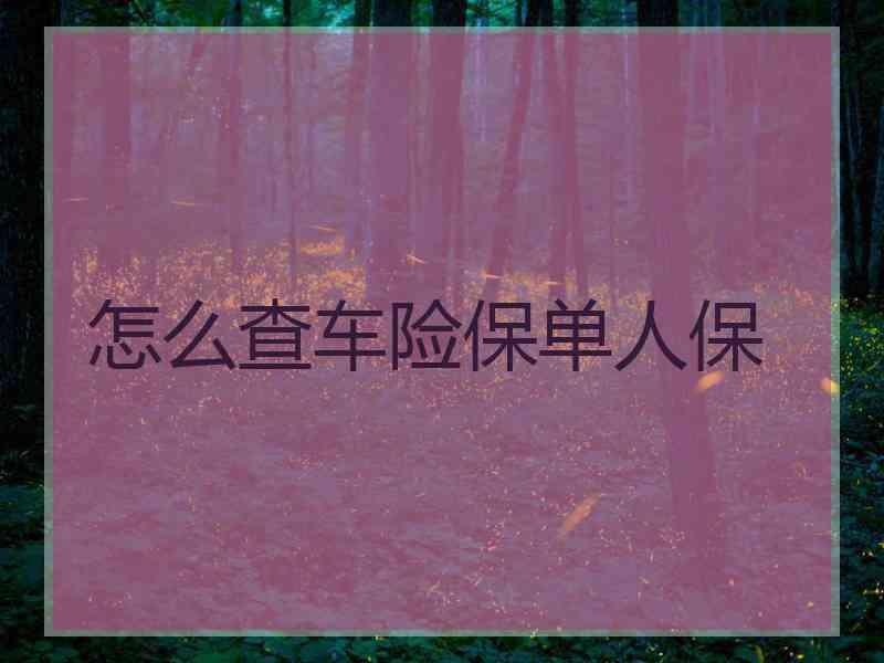 怎么查车险保单人保