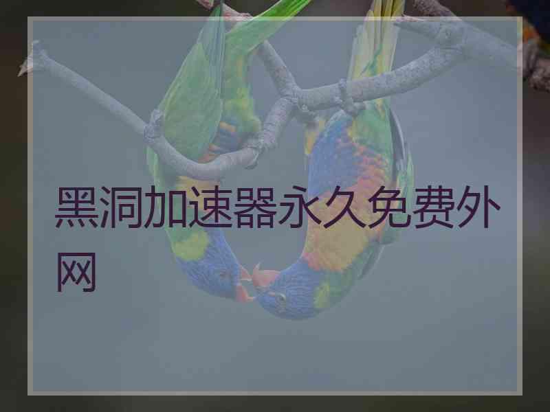 黑洞加速器永久免费外网