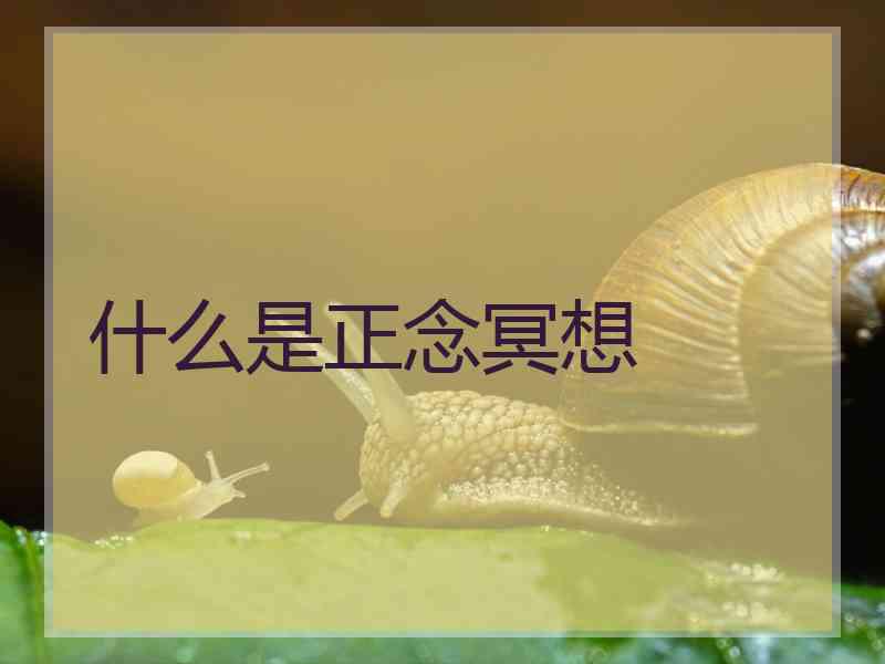 什么是正念冥想