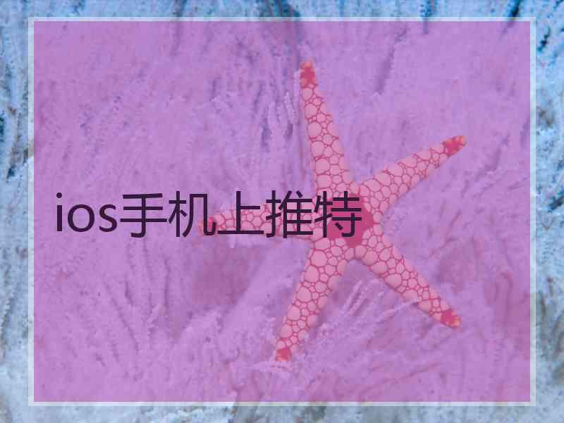 ios手机上推特