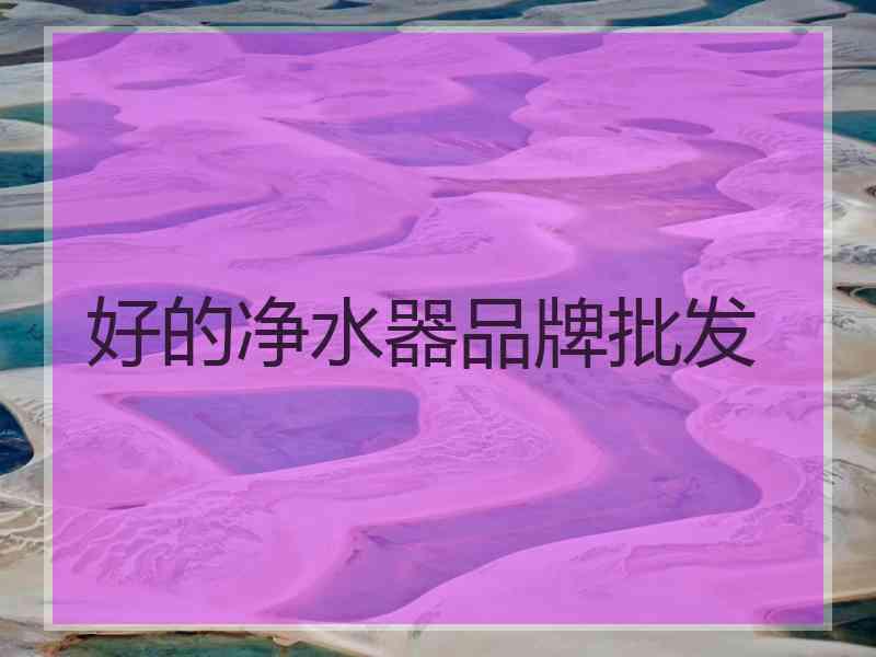 好的净水器品牌批发