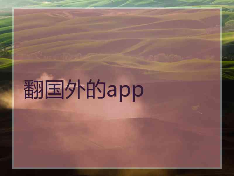 翻国外的app