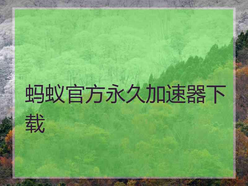 蚂蚁官方永久加速器下载