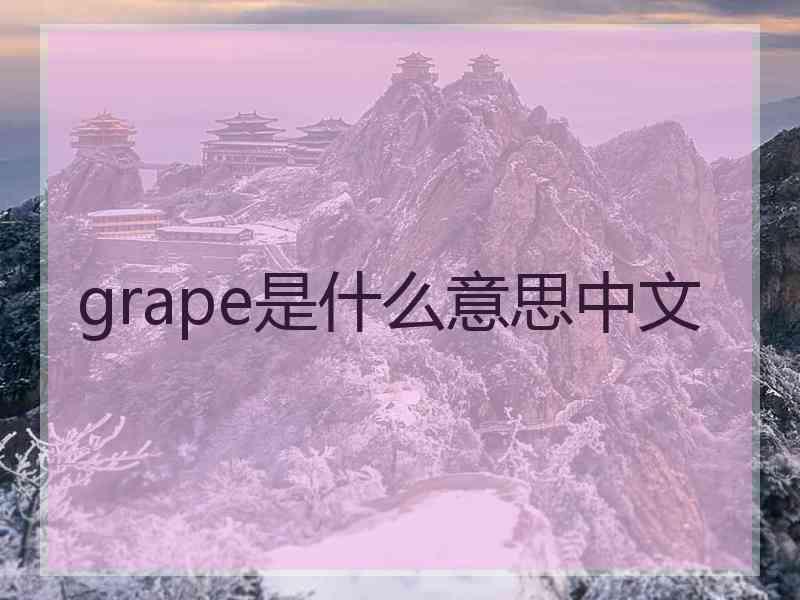grape是什么意思中文