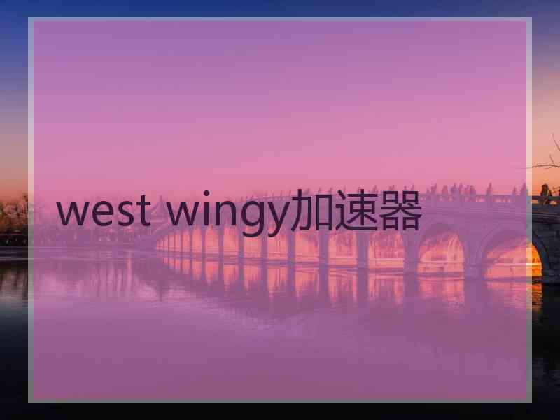 west wingy加速器
