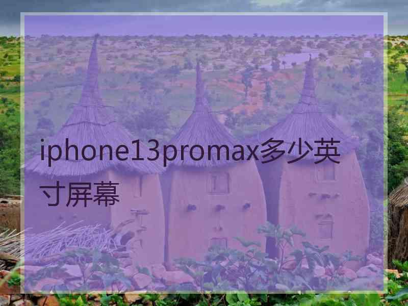 iphone13promax多少英寸屏幕