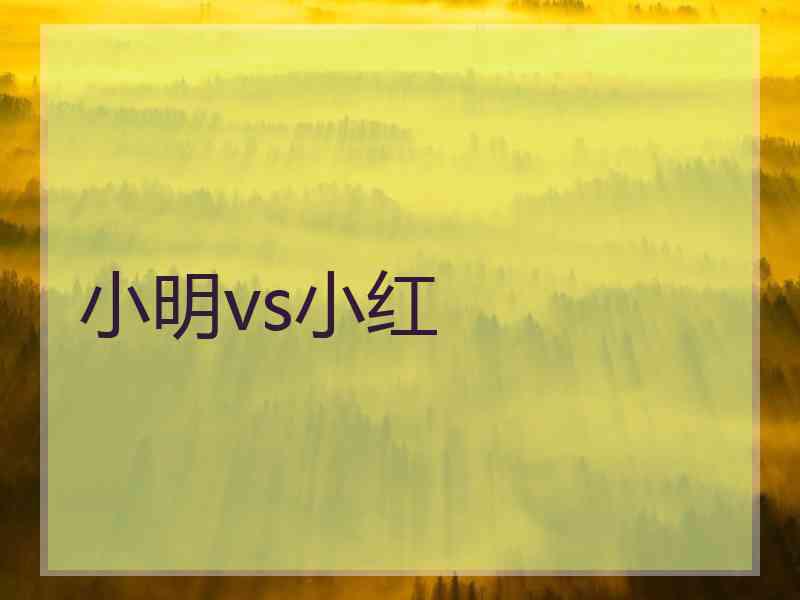 小明vs小红