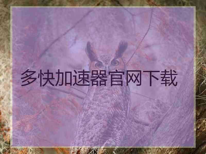 多快加速器官网下载
