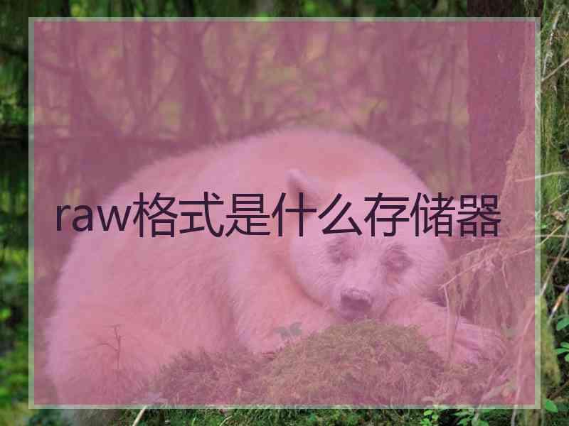 raw格式是什么存储器