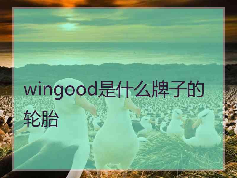 wingood是什么牌子的轮胎