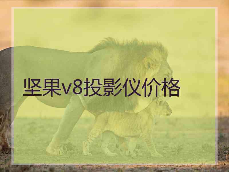 坚果v8投影仪价格