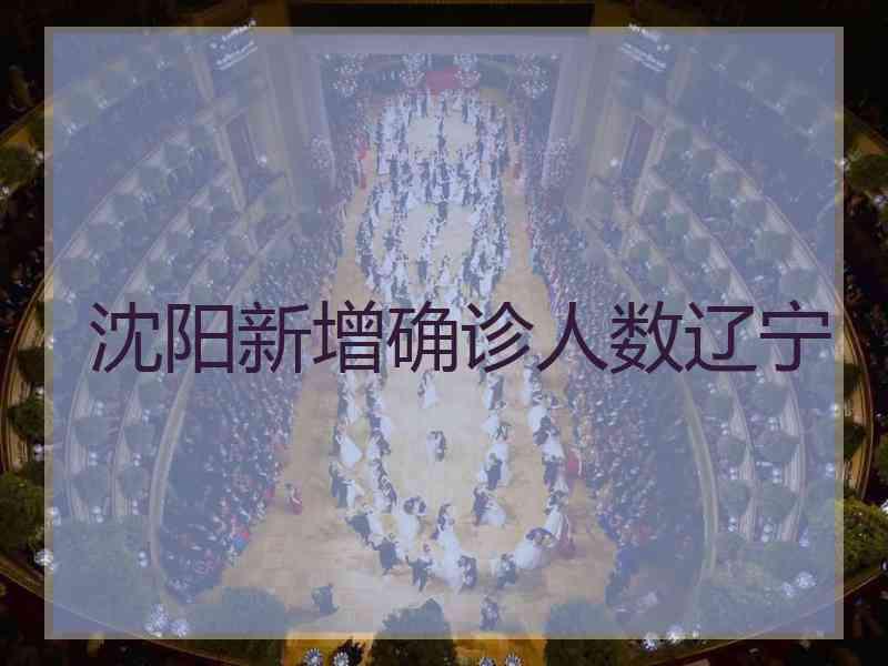 沈阳新增确诊人数辽宁