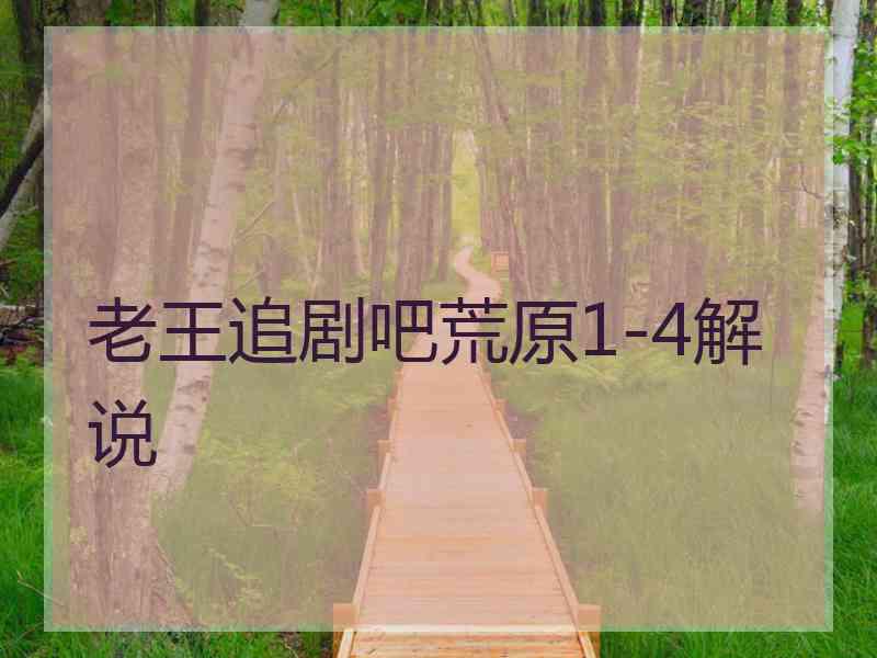 老王追剧吧荒原1-4解说
