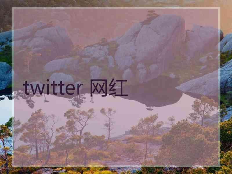 twitter 网红