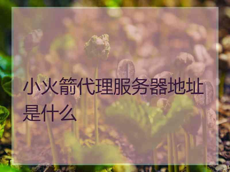 小火箭代理服务器地址是什么