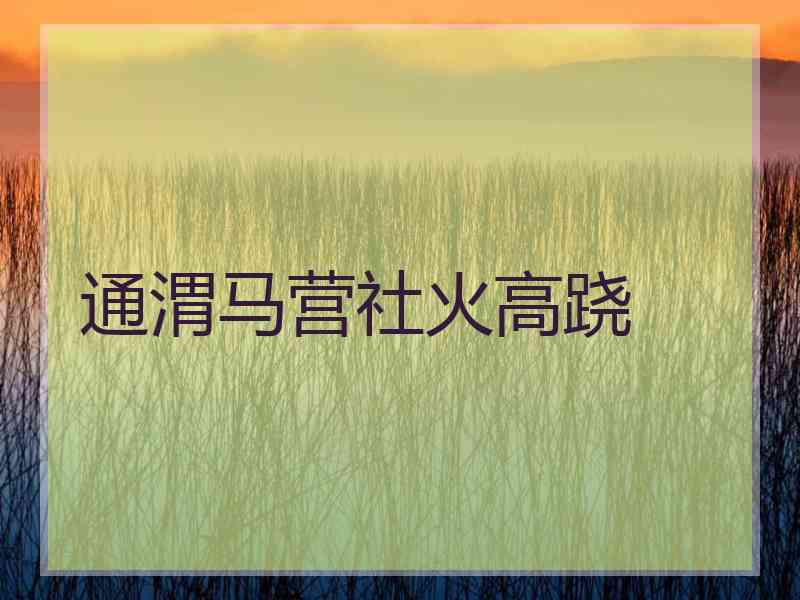 通渭马营社火高跷