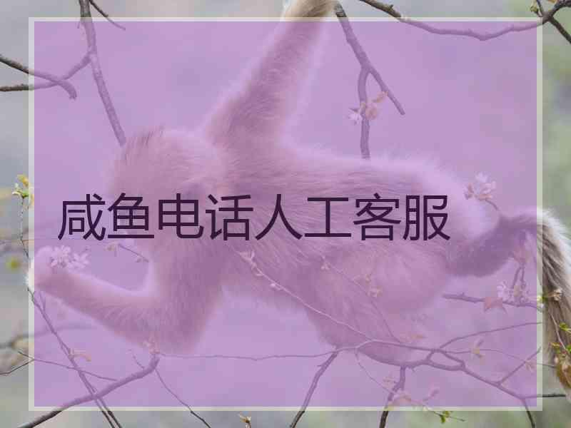 咸鱼电话人工客服