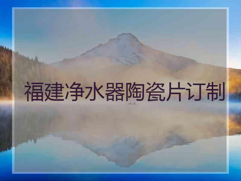 福建净水器陶瓷片订制
