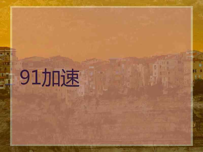 91加速