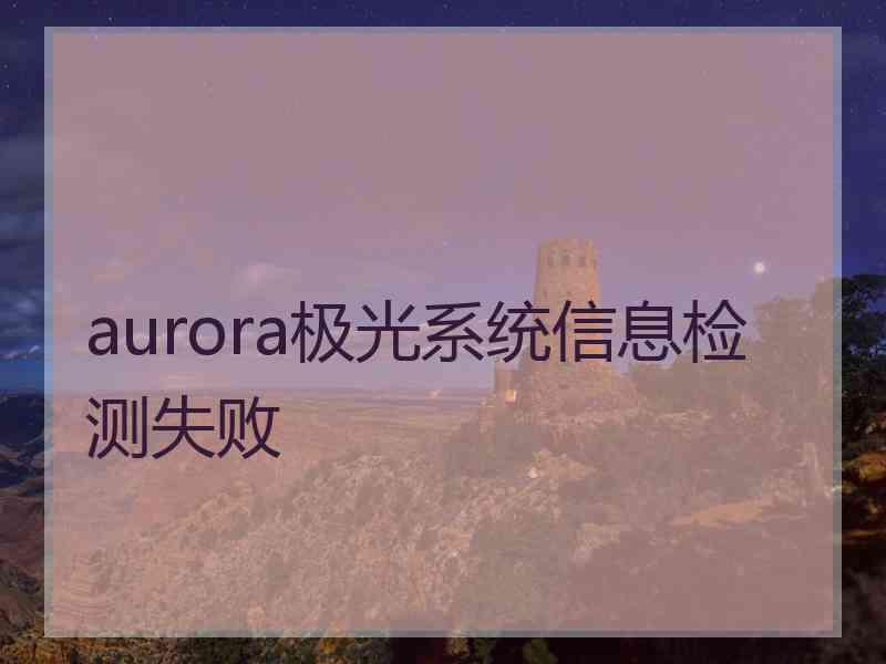 aurora极光系统信息检测失败