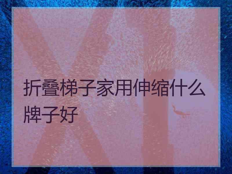 折叠梯子家用伸缩什么牌子好