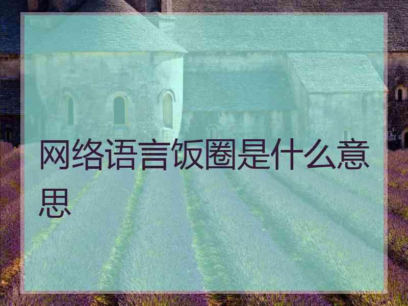 网络语言饭圈是什么意思