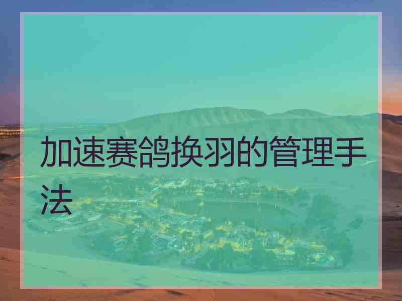 加速赛鸽换羽的管理手法
