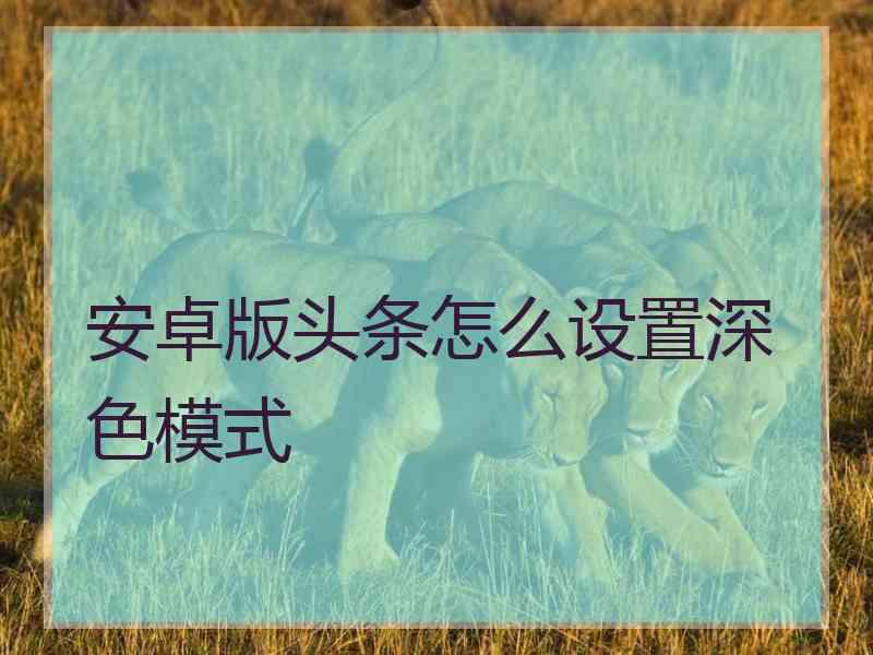 安卓版头条怎么设置深色模式