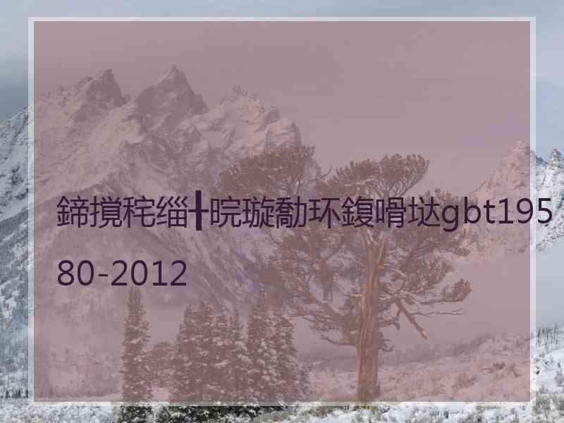 鍗撹秺缁╂晥璇勪环鍑嗗垯gbt19580-2012